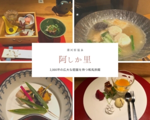 【阿しか里（あしかり）】③夕食編＊季節の食材を使った正統派の懐石料理｜湯河原温泉